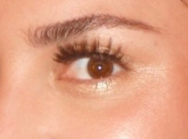Brow Fixx